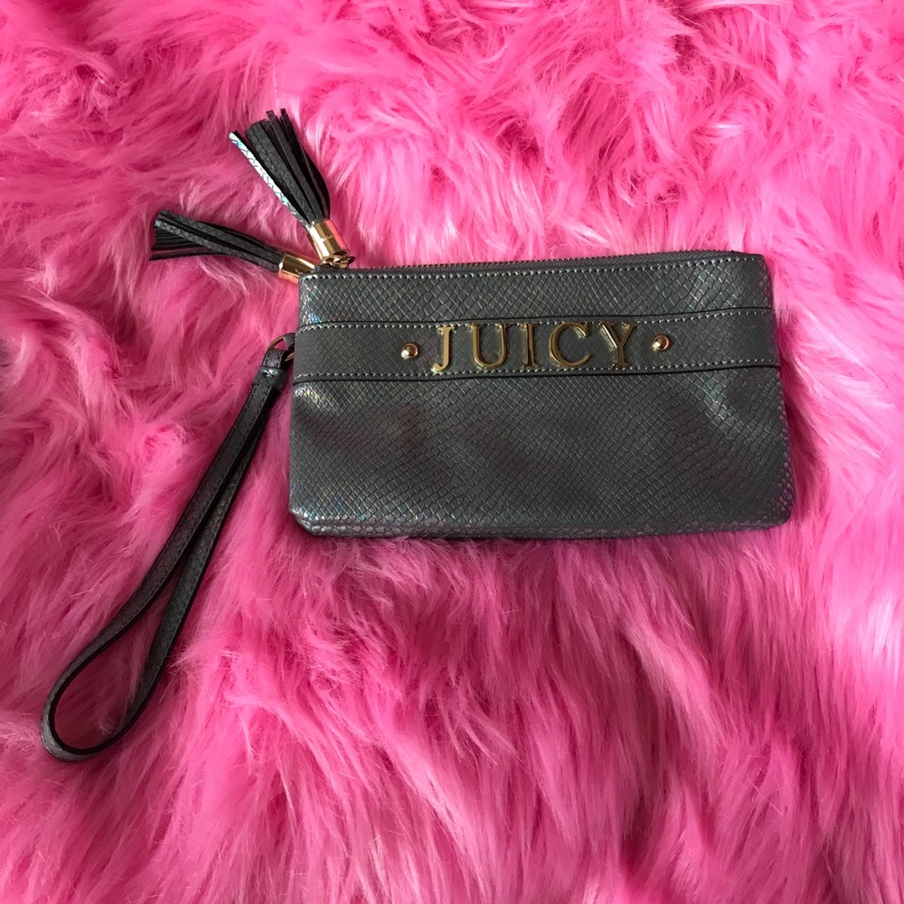 Beautiful Iridescent Juicy Wristlet